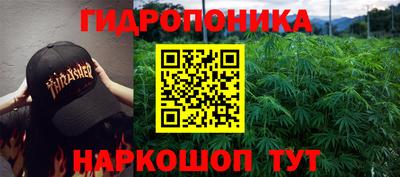 прущие крисы Краснодар