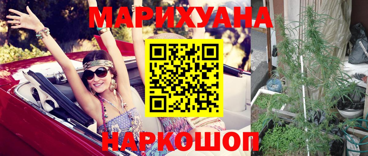 Бошки Шишки White Widow  МАРИХУАНА семена  Конопля Ganja  Шишки марихуана марихуана  Кисловодск  Вход с VPN 